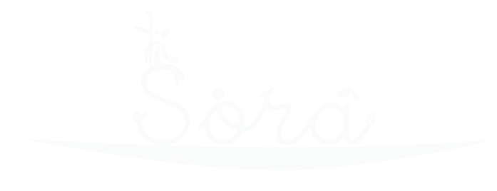 sora-logo-main-image-2